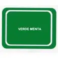 TRAY COLOUR: MINT GREEN