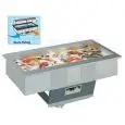 REFRIGERATED DROP-IN FOOD WELL DISPLAY, FISH-SPECIFIC - MOD. OPERA FISHING - COOLS BY PRODUCING ICE  - PLEXIGLASS GANTRY - SINGLE PHASE V 230/1/50 Hz - REFRIGERANT GAS R452a - AISI 316 STAINLESS STEEL WELL, SALT CORROSION-RESISTANT - AUTO-DEFROST