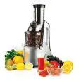FRUIT AND VEG SLOW JUICER - MOD. ET2102 - FRUIT AND VEGETABLES ARE COLD PRESSED TO PRESERVE VITAMINS AND NUTRIENTS - SLOW JUICER - N. 60 RPM - POWER W 240 - DIM. Cm L 21 x D 25 x 49 h - EC STANDARDS