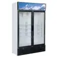 UPRIGHT FRIDGE - PAINTED METAL EXTERIOR - FOR SNACK BARS - STATIC COOLING - Mod. G-SNACK638L2TNG - CAPACITY Lt 620 - DOUBLE GLASS DOOR - TEMPERATURE RANGE +1°/+8°C - Dimensions cm L119,8 x D53 x h188 - CE APPROVED