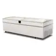REFRIGERATED ISLAND DISPLAY - MOD. EVO 250 GT HGD - DIGITAL THERMOMETER - CAPACITY LT 1182 - TEMPERATURE -18°/-23°C  - Dimensions cm L 252 x D 94,4 x h 84,8 - EC standards