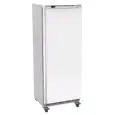 UPRIGHT FREEZER - PAINTED STEEL/ABS EXTERIOR - GN 2/1 - VENTILATED COOLING - ECO - Mod. G-EF700 - SINGLE SOLID DOOR - GROSS CAPACITY LT 641 - TEMPERATURE RANGE -18º/-22ºC - Dimensions cm L77,7 x D73 x h189,5 - CE APPROVED