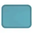 CANTINE TRAY - MOD. 100303 - CLASSICAL RECTANGULAR MODEL - POLYPROPYLENE - 30-PIECE SET - DIMENSIONS cm L 45,6 X D 35,6 - EC STANDARDS