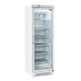 GLASS DOOR FRIDGE - STATIC COOLING - Mod TNG 390 - SINGLE DOOR - CAPACITY LT 300 - Temperature -15°/-20°C - Dim. cm L 60 x D 63 x h 187 - CE approved