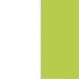 SEAT COLOR WHITE + PISTACHIO GREEN