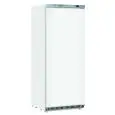 Upright freezer - Mod CN 6 - Static cooling - N 1 door - Capacity Lt 600 - Temperature -18º/-23ºC - Dimensions cm L 77,5 x D 72,9 x h 190