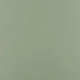 JADE COLOR