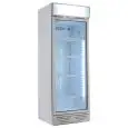 REFRIGERATED CABINET IN PAINTED SHEET METAL - FOR BEVERAGES - STATIC WITH AGITATOR - Mod GXI270E - CAPACITY Lt 270 - N. 1 GLASS DOOR - TEMPERATURE 0/+10°C - DIMENSIONS cm L 54 x D 57 x H 156 - CE STANDARD