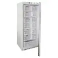 UPRIGHT FREEZER - PAINTED STEEL/ABS EXTERIOR - STATIC COOLING - ECO - Mod. G-EF600CAS - SINGLE SOLID DOOR - GROSS CAPACITY LT 555 - GROSS CAPACITY N. 13 DRAWERS cm L51,5xD31x17,5h - TEMPERATURE RANGE -18º/-22ºC - Dimensions cm L77,7 x D69,5 x h189,5 - CE 