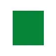 DECORATION COLOUR GREEN CENTRAL FRONT PANEL D101