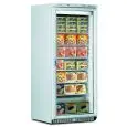 UPRIGHT DISPLAY FRIDGE - MOD. GHIACCIO PLUS N 60 - CAPACITY LT. 580 - TEMPERATURE -15°/-25° - Dimensions Cm. L 77,5 x D 73 x h 188 - CE STANDARDS -